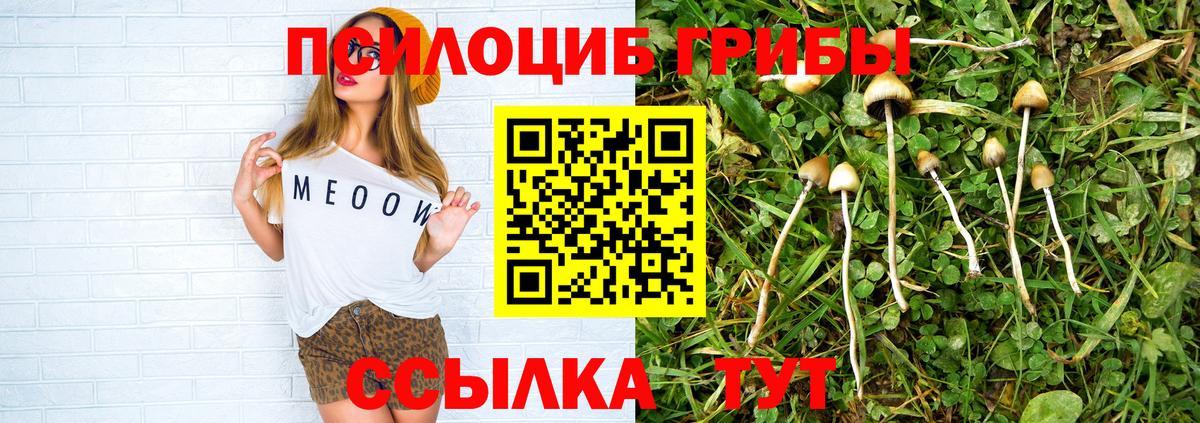 Галлюциногенные грибы Psilocybe  Вход с VPN  Десногорск 